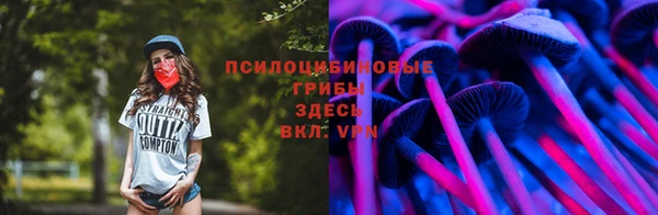 гашик Навашино