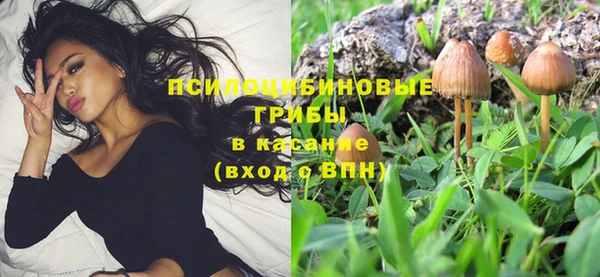 стаф Надым