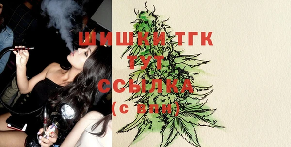 стаф Надым
