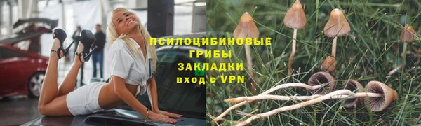 стаф Надым