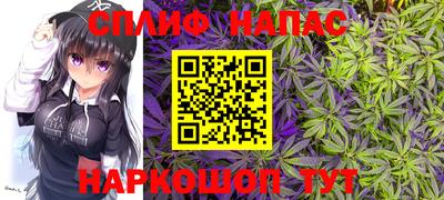 ALPHA PVP Гатчина