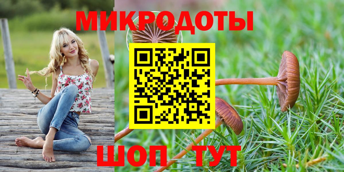 Галлюциногенные грибы Psilocybe  Ангарск 