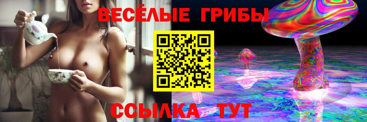 Галлюциногенные грибы GOLDEN TEACHER Ангарск